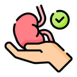 Mejor Clinica de hemodialisis Dolores Hidalgo