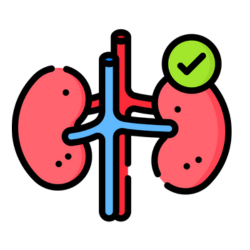 Tratamientos de enfermedades renales Dolores Hidalgo